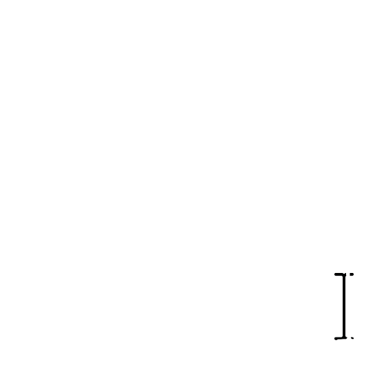 light logo